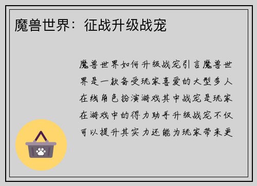 魔兽世界：征战升级战宠